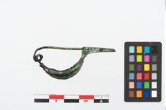 Foto von Bronzekahnfibel (NHMW-PRAE-025495)